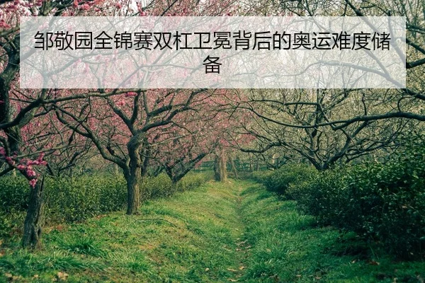 邹敬园全锦赛双杠卫冕背后的奥运难度储备