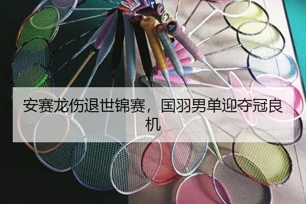 安赛龙伤退世锦赛，国羽男单迎夺冠良机